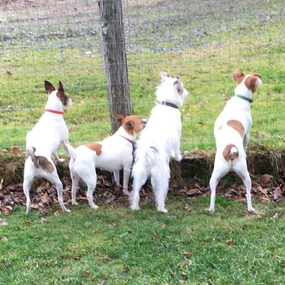 Meet your Posher, Michele - Picture 1 of 1